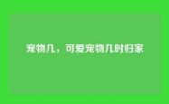 宠物几，可爱宠物几时归家