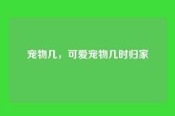 宠物几，可爱宠物几时归家