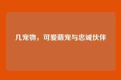几宠物，可爱萌宠与忠诚伙伴