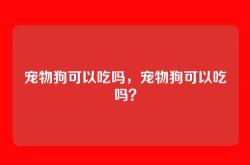 宠物狗可以吃吗，宠物狗可以吃吗？