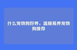 什么宠物狗好养，温顺易养宠物狗推荐