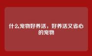 什么宠物好养活，好养活又省心的宠物