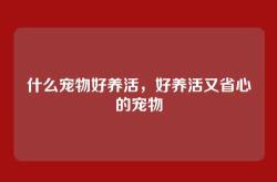什么宠物好养活，好养活又省心的宠物