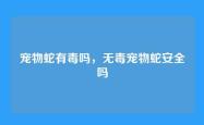 宠物蛇有毒吗，无毒宠物蛇安全吗