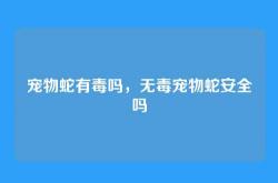 宠物蛇有毒吗，无毒宠物蛇安全吗