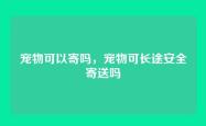 宠物可以寄吗，宠物可长途安全寄送吗
