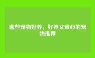哪些宠物好养，好养又省心的宠物推荐