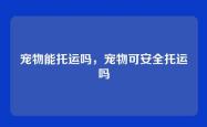 宠物能托运吗，宠物可安全托运吗