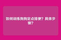 如何训练狗狗定点排便？具体步骤？