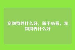 宠物狗养什么好，新手必看，宠物狗养什么好