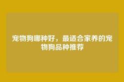 宠物狗哪种好，最适合家养的宠物狗品种推荐