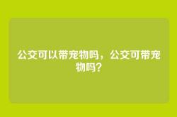 公交可以带宠物吗，公交可带宠物吗？