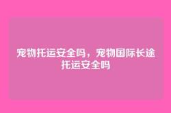 宠物托运安全吗，宠物国际长途托运安全吗