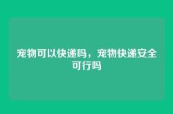 宠物可以快递吗，宠物快递安全可行吗