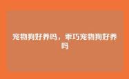 宠物狗好养吗，乖巧宠物狗好养吗