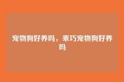 宠物狗好养吗，乖巧宠物狗好养吗