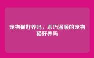 宠物猫好养吗，乖巧温顺的宠物猫好养吗