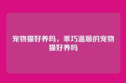 宠物猫好养吗，乖巧温顺的宠物猫好养吗