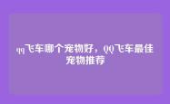 qq飞车哪个宠物好，QQ飞车最佳宠物推荐
