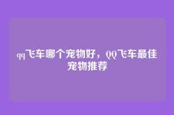 qq飞车哪个宠物好，QQ飞车最佳宠物推荐