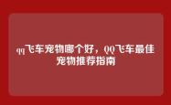 qq飞车宠物哪个好，QQ飞车最佳宠物推荐指南