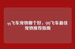 qq飞车宠物哪个好，QQ飞车最佳宠物推荐指南