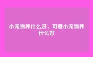 小宠物养什么好，可爱小宠物养什么好