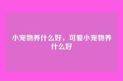 小宠物养什么好，可爱小宠物养什么好
