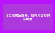 什么宠物鱼好养，易养又省心的宠物鱼