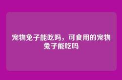 宠物兔子能吃吗，可食用的宠物兔子能吃吗