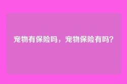 宠物有保险吗，宠物保险有吗？