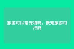 旅游可以带宠物吗，携宠旅游可行吗