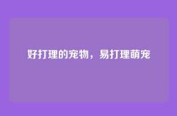 好打理的宠物，易打理萌宠