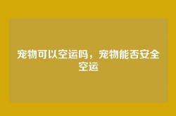 宠物可以空运吗，宠物能否安全空运