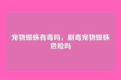 宠物蜘蛛有毒吗，剧毒宠物蜘蛛危险吗