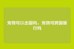 宠物可以出国吗，宠物可跨国旅行吗