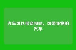 汽车可以带宠物吗，可带宠物的汽车