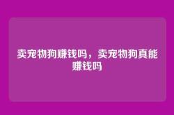 卖宠物狗赚钱吗，卖宠物狗真能赚钱吗
