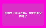 宠物兔子可以吃吗，可食用的宠物兔子
