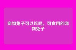 宠物兔子可以吃吗，可食用的宠物兔子