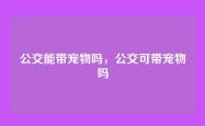 公交能带宠物吗，公交可带宠物吗