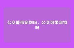 公交能带宠物吗，公交可带宠物吗
