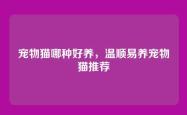 宠物猫哪种好养，温顺易养宠物猫推荐