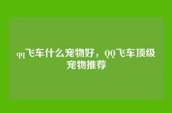 qq飞车什么宠物好，QQ飞车顶级宠物推荐