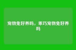 宠物兔好养吗，乖巧宠物兔好养吗