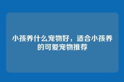 小孩养什么宠物好，适合小孩养的可爱宠物推荐
