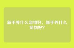 新手养什么宠物好，新手养什么宠物好？