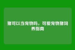 猪可以当宠物吗，可爱宠物猪饲养指南