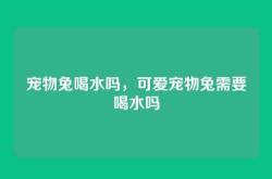 宠物兔喝水吗，可爱宠物兔需要喝水吗