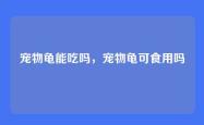 宠物龟能吃吗，宠物龟可食用吗